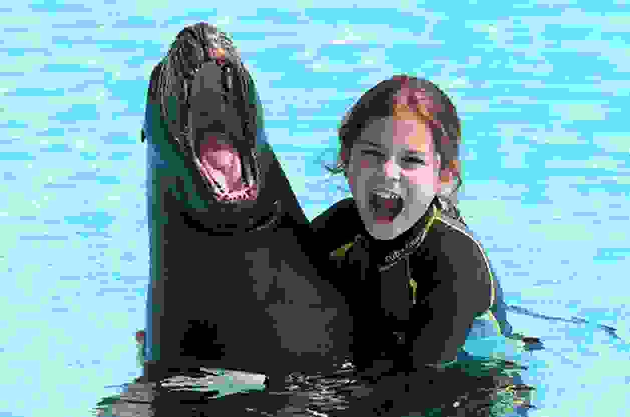 Excursion en famille à CONNY-LAND. Manège pour enfants jusqu'aux montagnes russes Cobra, spectacles en direct avec des otaries et des perroquets jusqu'à la présentation 4D (un film avec des effets supplémentaires comme le vent, la lumière et le parfum) dans le théâtre du Château et bien plus encore. Le parc de loisirs répond à tous les souhaits.