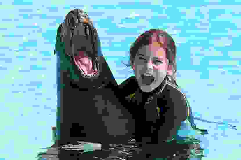 Zoom: Excursion en famille à CONNY-LAND. Manège pour enfants jusqu'aux montagnes russes Cobra, spectacles en direct avec des otaries et des perroquets jusqu'à la présentation 4D (un film avec des effets supplémentaires comme le vent, la lumière et le parfum) dans le théâtre du Château et bien plus encore. Le parc de loisirs répond à tous les souhaits.