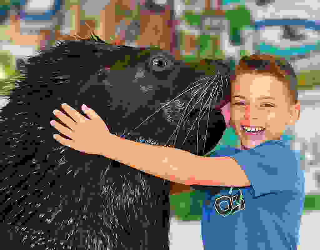 Vi aspettano le montagne russe, la Jungle Adventure, l'originale parco giochi acquatico e molto altro ancora. Nessuno si annoia a CONNY-LAND. Approfittate dello sconto e scaricate il nostro voucher. Buttatevi nell'avventura e trascorrete una giornata ricca di azione e divertimento a CONNY-LAND.