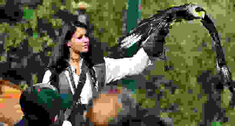 Familienausflug Falconeria. Erlebe Falken, Adler, Eulen, Geier, Marabus, Waldrappen und Störche im freien Flug. Egal, ob du beobachten oder fotografieren möchtest, in der natürlich gestalteten Falconeria bietet sich die beste Gelegenheit dazu.